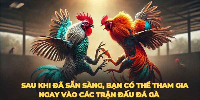 Các loại cược đá gà được yêu thích nhất tại nền tảng của chúng tôi