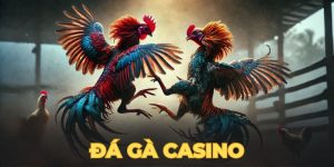 đá gà casino