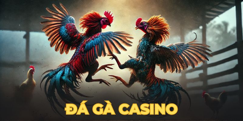 đá gà casino