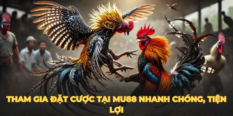 Tham gia đặt cược tại MU88 nhanh chóng, tiện lợi